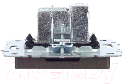 Розетка IEK Brite BR-A10-P-K45