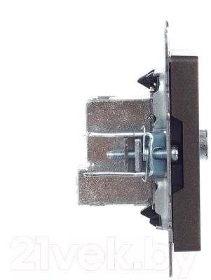 Розетка IEK Brite BR-A10-P-K45