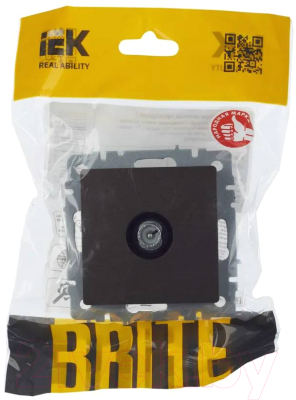 Розетка IEK Brite BR-A10-P-K45