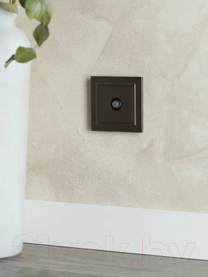 Розетка IEK Brite BR-A10-P-K45