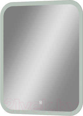 Зеркало Teymi Ritta 50x60 / T20246