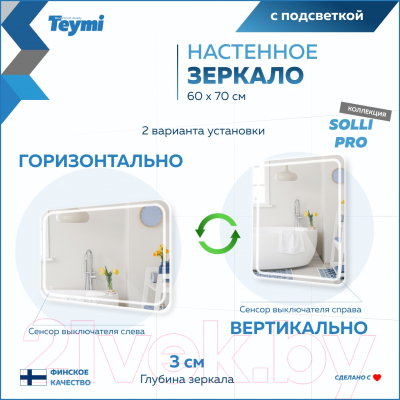 Зеркало Teymi Solli Pro 60x70 / T20253