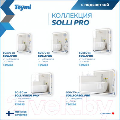 Зеркало Teymi Solli Pro 100x70 / T20256