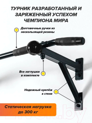 Турник Absolute Champion Aktiv Maх