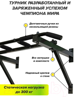 Турник Absolute Champion Треххватный к стене Maх
