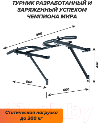 Турник Absolute Champion Треххватный Мультихват к стене