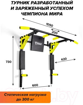 Турник-брусья Absolute Champion Триумф PRO