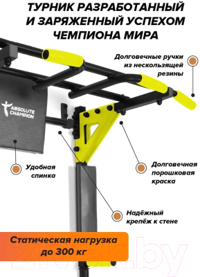 Турник-брусья Absolute Champion Центрл Спорт PRO