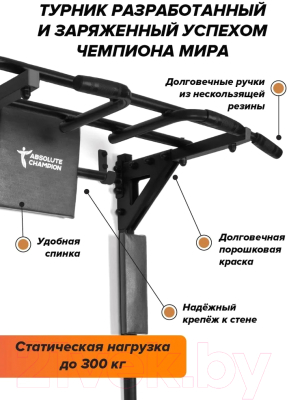 Турник-брусья Absolute Champion Центрл Спорт PRO