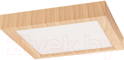 Потолочный светильник TDM Даунлайт / SQ0329-0421 - фото