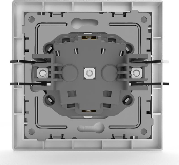 Розетка Tokov Electric Pixel TKE-PX-R1FZSF-C01