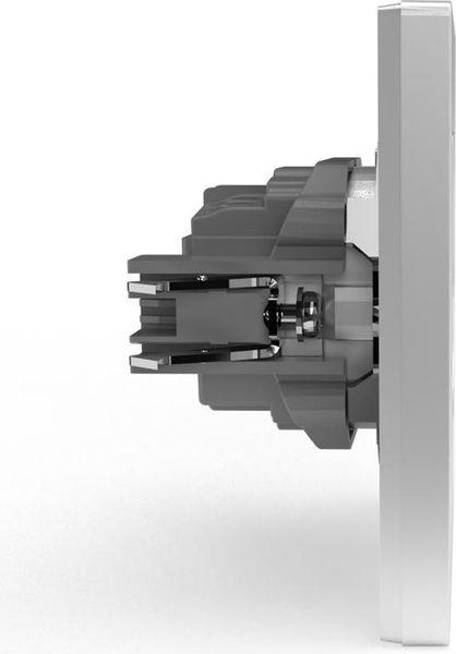 Розетка Tokov Electric Pixel TKE-PX-R1FZSF-C01