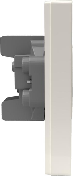 Розетка Tokov Electric Pixel TKE-PX-R2F-C02