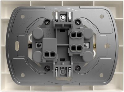 Розетка Tokov Electric TKE-PX-R2FZSF-C02
