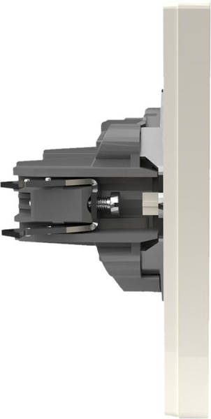 Розетка Tokov Electric Pixel TKE-PX-R1F-C02