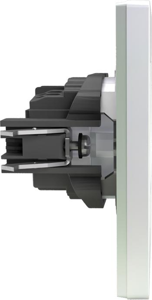 Розетка Tokov Electric Pixel TKE-PX-R1FZSF-C04