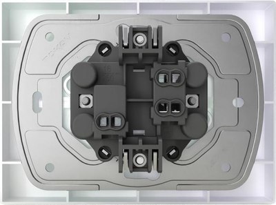 Розетка Tokov Electric Pixel TKE-PX-R2FZSF-C04
