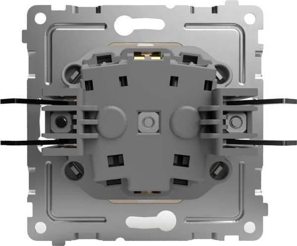 Розетка Tokov Electric Pixel TKE-PX-R1ZSF-C02