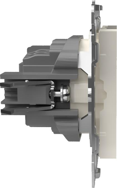 Розетка Tokov Electric Pixel TKE-PX-R1ZSF-C02