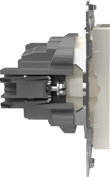 Розетка Tokov Electric Pixel TKE-PX-R1Z-C02