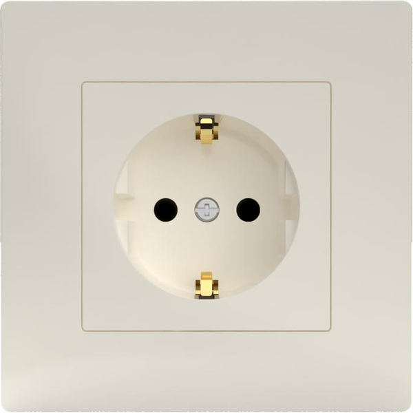 Розетка Tokov Electric TKE-PX-R1FZSF-C02 - фото