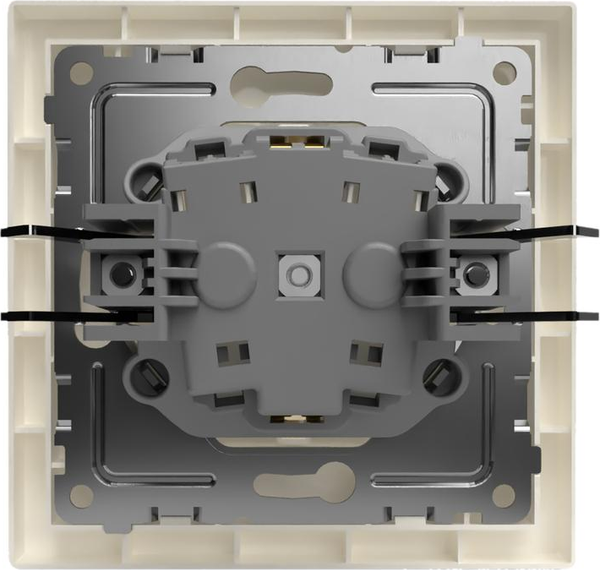 Розетка Tokov Electric TKE-PX-R1FZSF-C02