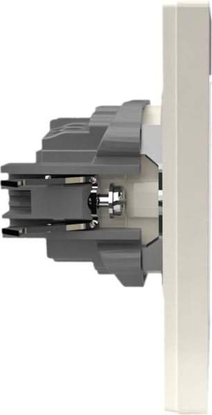 Розетка Tokov Electric TKE-PX-R1FZSF-C02