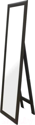 Зеркало Teymi Helmi 45x160 / T20244 - фото