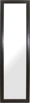 Зеркало Teymi Helmi 45x160 / T20244