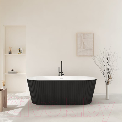 Ванна акриловая Teymi Kati 170x80x58 / T130113 (черный матовый)