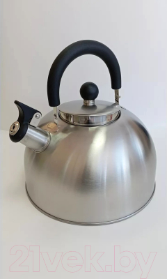 Чайник со свистком Vessel VS8823