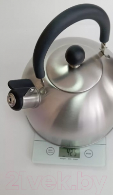 Чайник со свистком Vessel VS8827