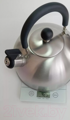 Чайник со свистком Vessel VS8830