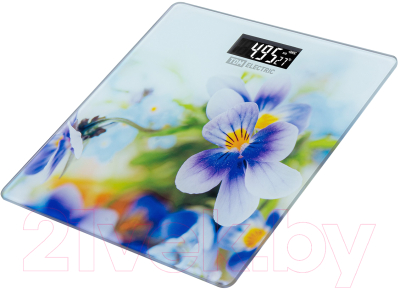 Напольные весы электронные TDM Фиалки SQ4012-0003