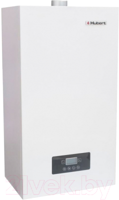 Газовый котел Hubert Smart AGB 18 DY - фото