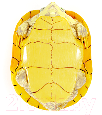 Фигурка коллекционная Exoprima Красноухая черепаха / 56342/AH