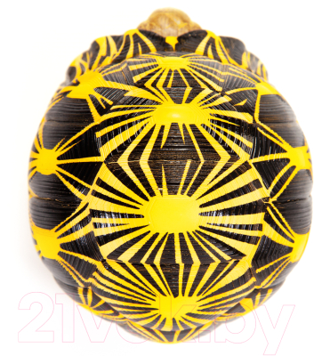 Фигурка коллекционная Exoprima Лучевая черепаха / 26467/AH