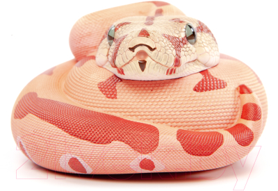 Фигурка коллекционная Exoprima Питон / 56331/AH