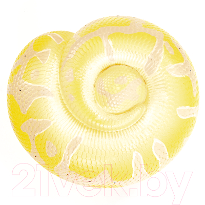 Фигурка коллекционная Exoprima Питон / 56348/AH