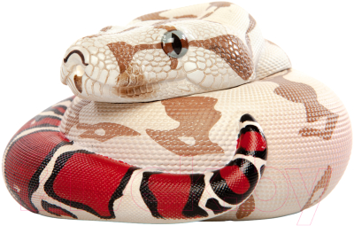 Фигурка коллекционная Exoprima Питон / 56355/AH - фото