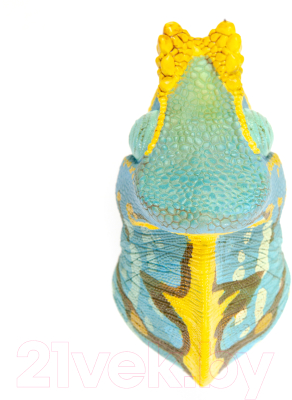 Фигурка коллекционная Exoprima Хамелеон Парсони / 56430/AH