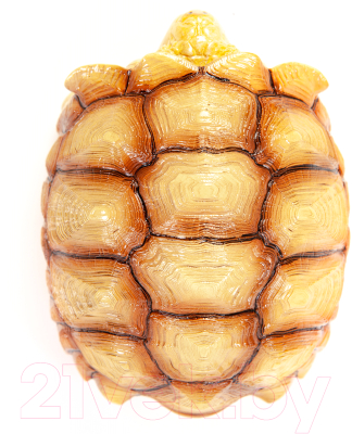 Фигурка коллекционная Exoprima Шпороносная черепаха / 56335/AH