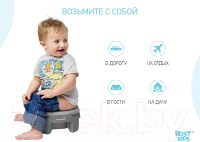 Вставка для детского горшка ROXY-KIDS ML-235RU-GR