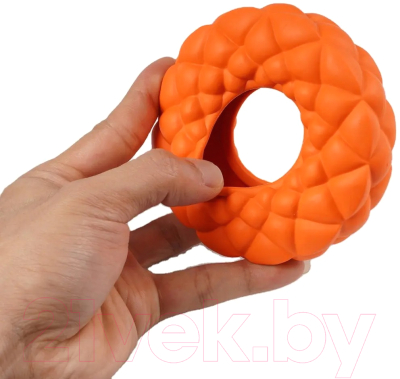 Игрушка для собак SkyRus Кольцо с пузырями / 088032