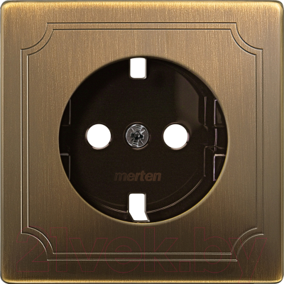 Лицевая панель для розетки Schneider Electric Merten MTN2331-4143 - фото