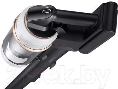 Вертикальный пылесос Samsung VS20B95823W/EV