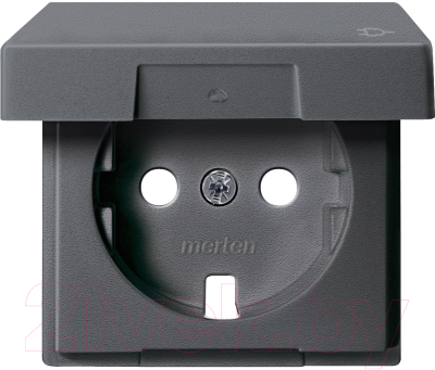 Лицевая панель для розетки Schneider Electric Merten MTN2341-0414 - фото