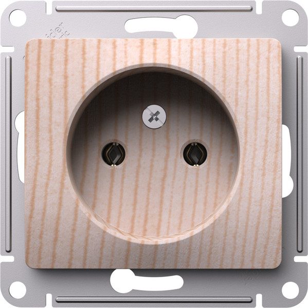 Розетка Systeme (Schneider) Electric Glossa GSL001541 - фото