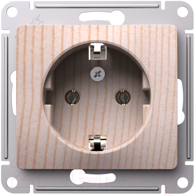 Розетка Systeme (Schneider) Electric Glossa GSL001543 - фото