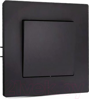 Выключатель Tokov Electric Pixel TKE-PX-V1F-C14 - фото